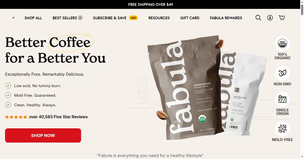 A picture of the homepage of fabulacoffee.com