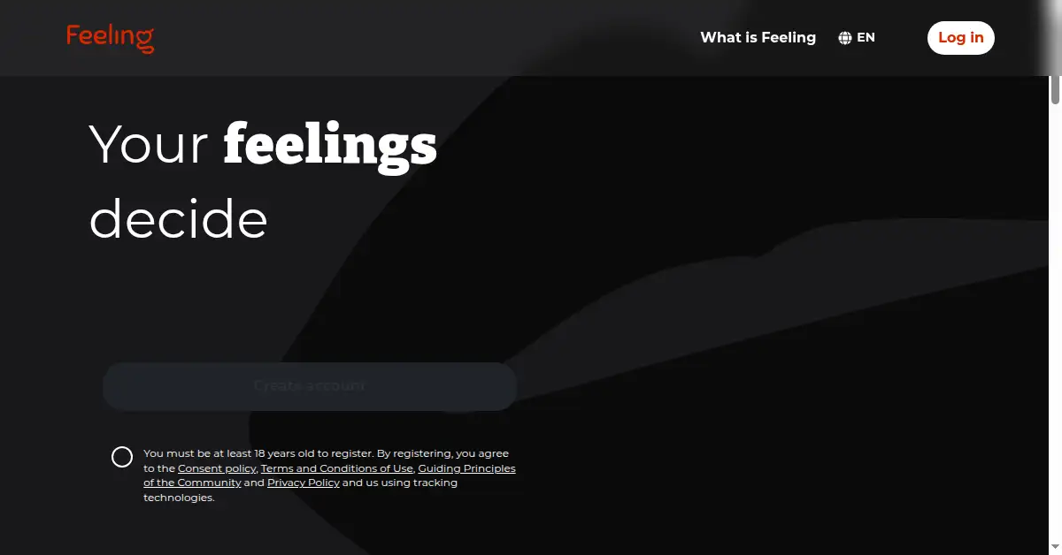 A picture of the homepage of feeling.me