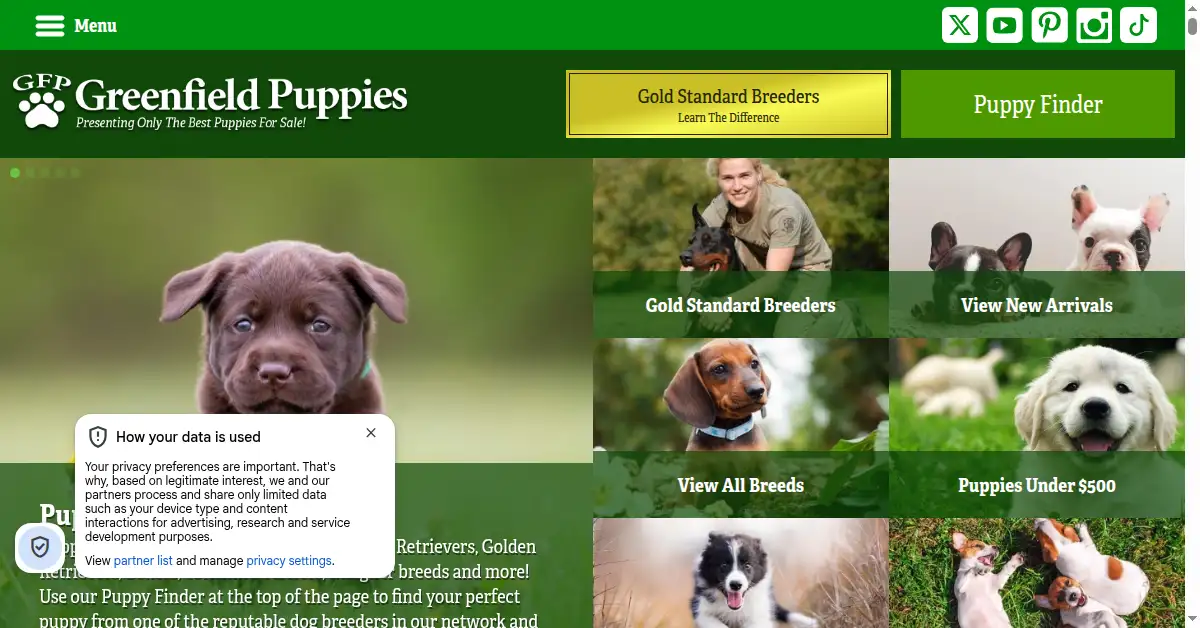 A picture of the homepage of greenfieldpuppies.com