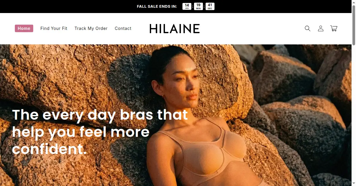 A picture of the homepage of hilaine.com