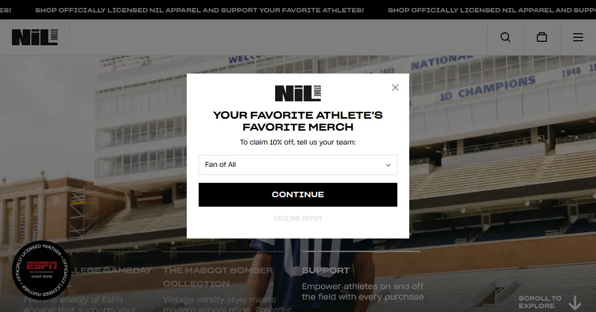 A picture of the homepage of nil.store