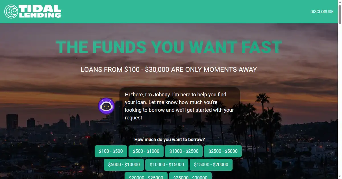 A picture of the homepage of tidallending.com