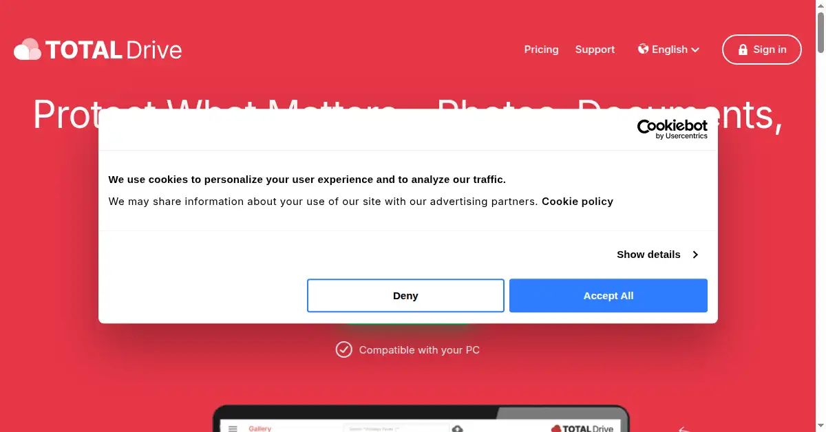 A picture of the homepage of totaldrive.com