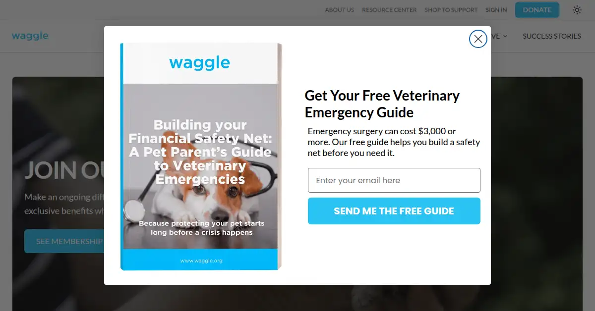 A picture of the homepage of waggle.org