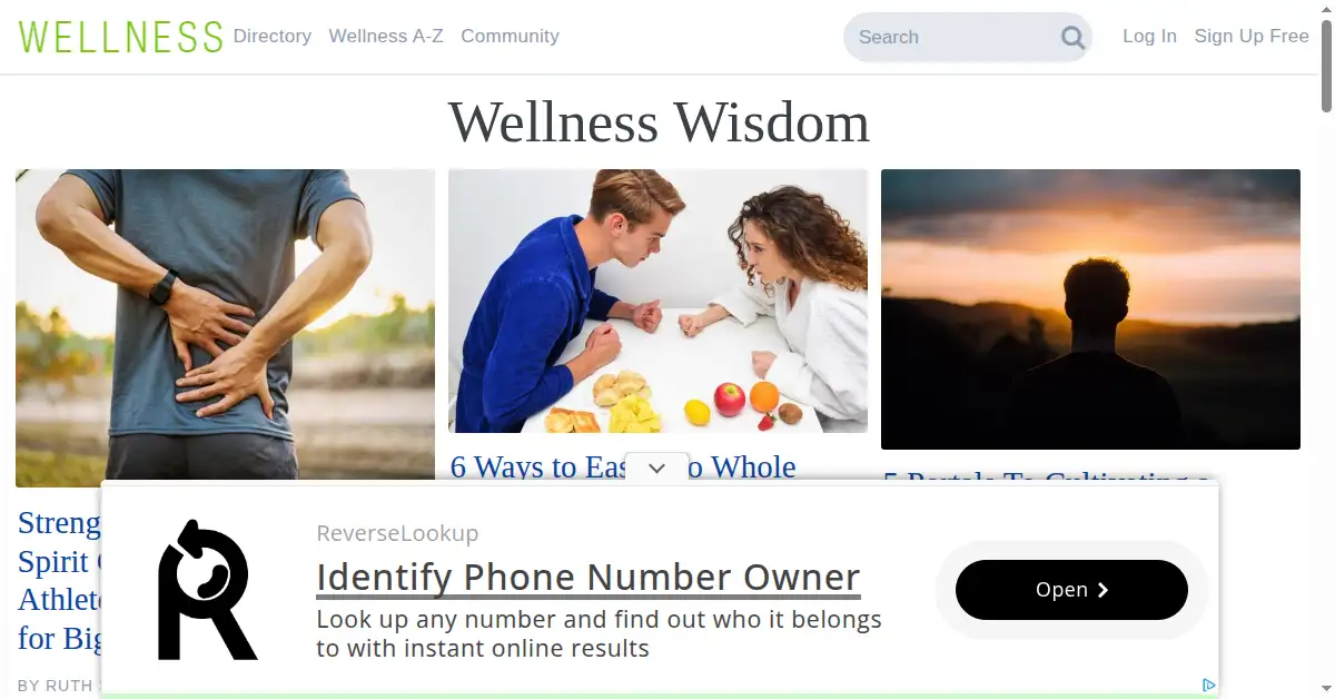 A picture of the homepage of wellness.com