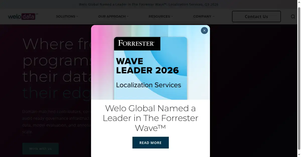 A picture of the homepage of welodata.ai