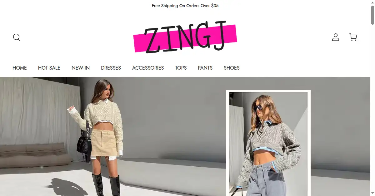 A picture of the homepage of zingj.com