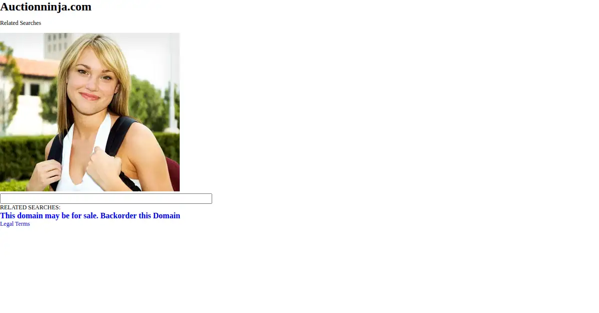 auctionninja.com as the Internet Archive first saved it, 14 Jan 2013