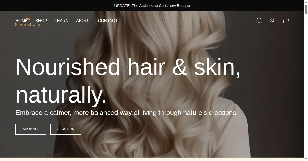 besque.co as the Internet Archive first saved it, 26 Apr 2024
