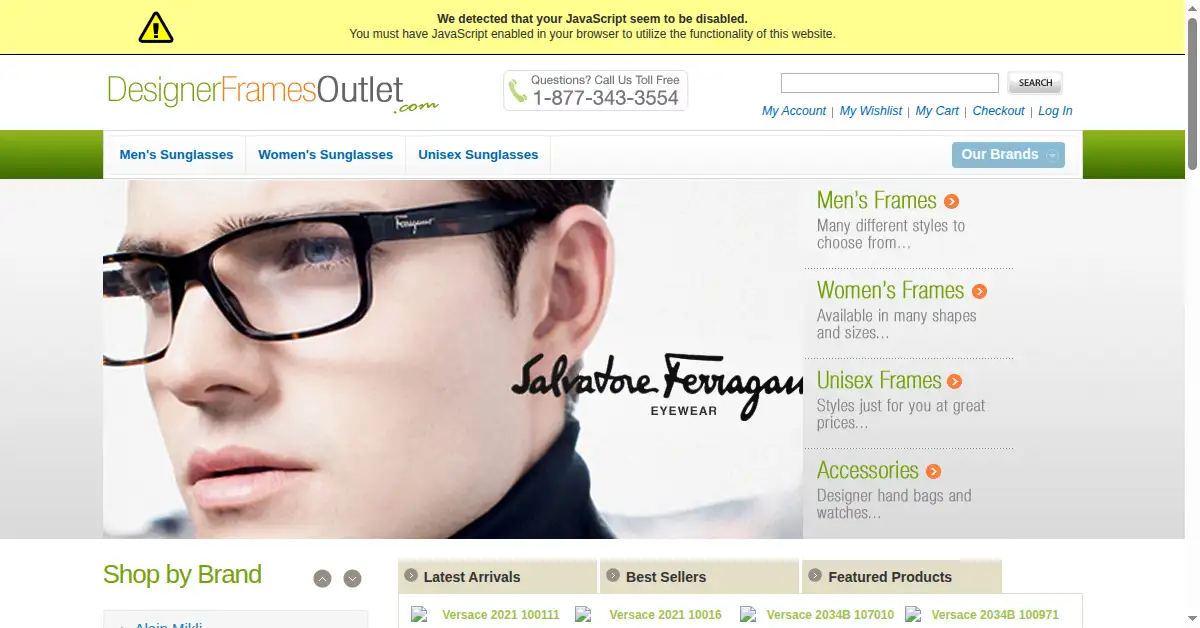 designerframesoutlet.com as the Internet Archive first saved it, 12 Jan 2010