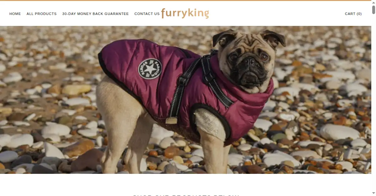 furryking.com as the Internet Archive first saved it, 23 Jul 2023