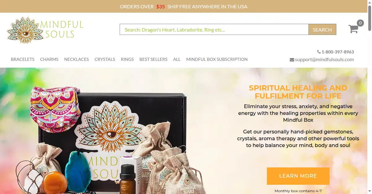 mindfulsouls.com as the Internet Archive first saved it, 20 Aug 2018
