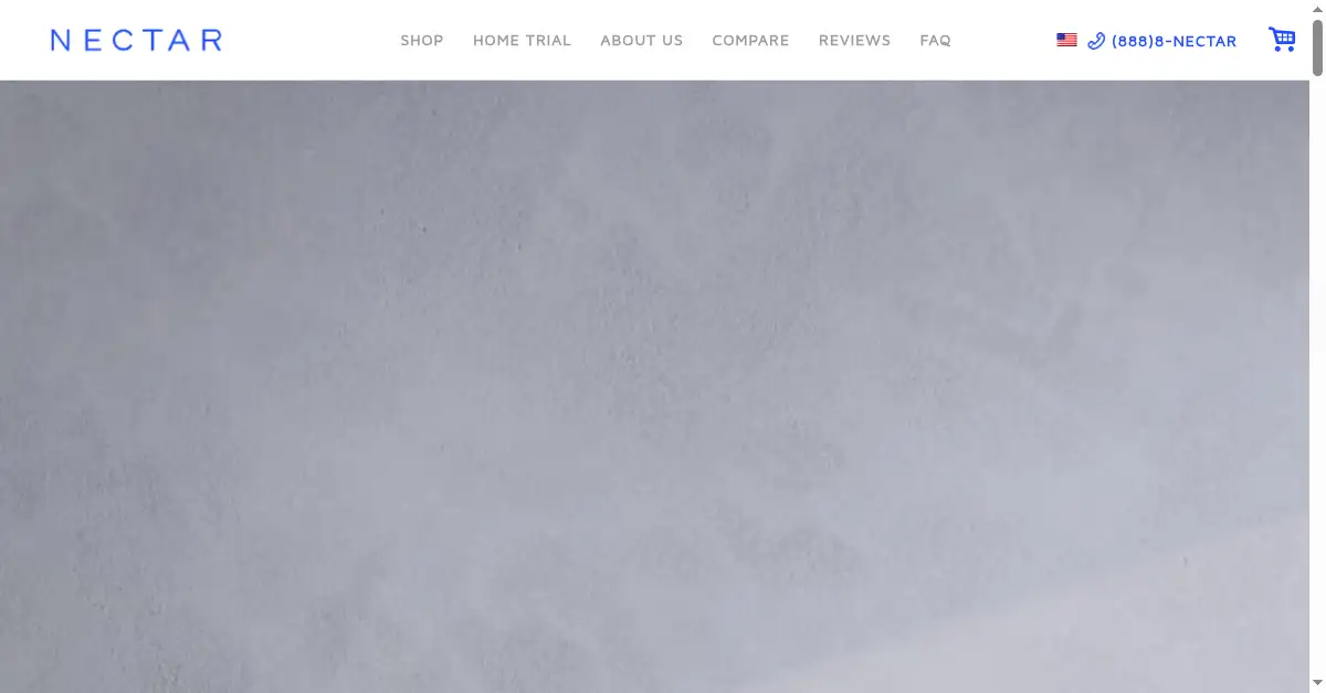 nectarsleep.com as the Internet Archive first saved it, 19 Jan 2017