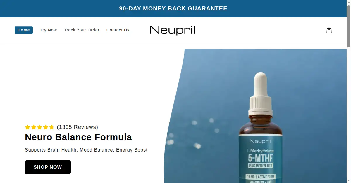 neupril.com as the Internet Archive first saved it, 3 Feb 2025