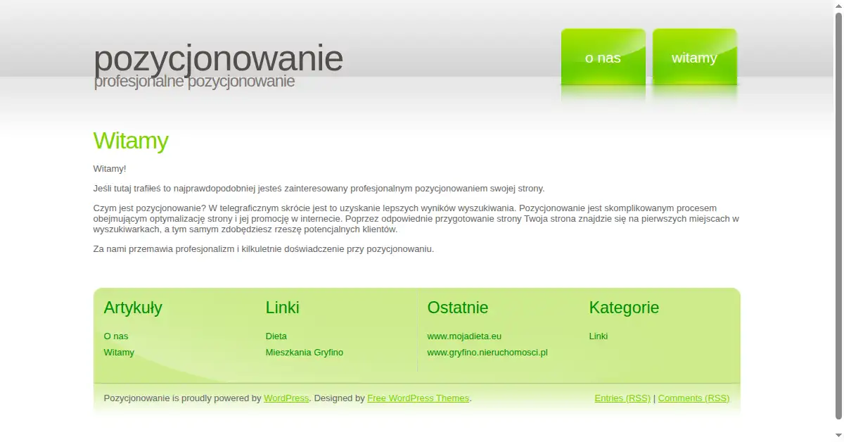 profesjonalne-pozycjonowanie.pl as the Internet Archive first saved it, 13 Dec 2007