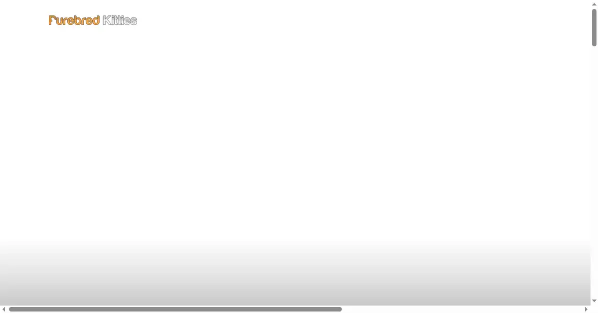 purebredkitties.com as the Internet Archive first saved it, 13 Aug 2020