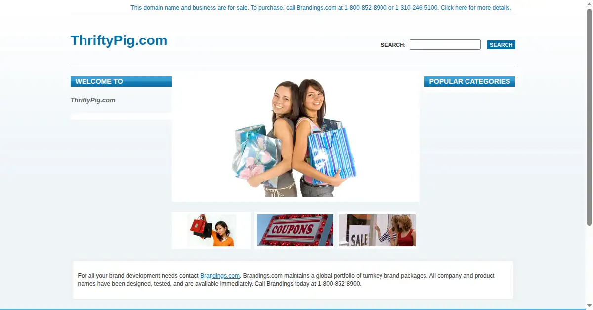 thriftypig.com as the Internet Archive first saved it, 10 Feb 2011
