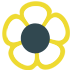 amoils.com icon