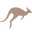 aussiechiller.com icon