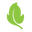 balanceofnature.com icon