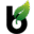 binoidcbd.com icon