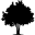 blackforestsupplements.com icon