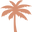 bohobeachhut.com icon