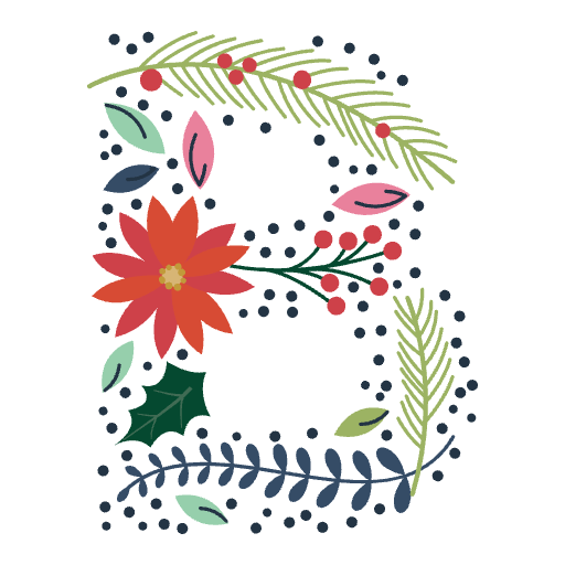 bohopink.com icon