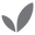 boody.com icon