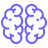 brainwiki.com icon
