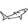 bruceshark.com icon
