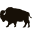 buffalojackson.com icon