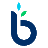 businessloans.com icon