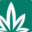 buymyweedusa.com icon