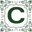 caducci.com icon