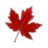 canadaflowers.ca icon