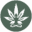 chronicguru.com icon