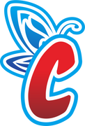 cosfun.com icon