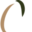 craftbodyscan.com icon