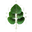 dearapothecary.com icon