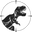 dinosaurized.com icon