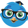 edubirdie.com icon
