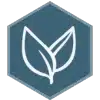 efficientcoach.com icon