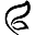flycurvy.com icon