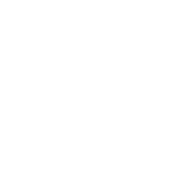 footgearlocker.com icon