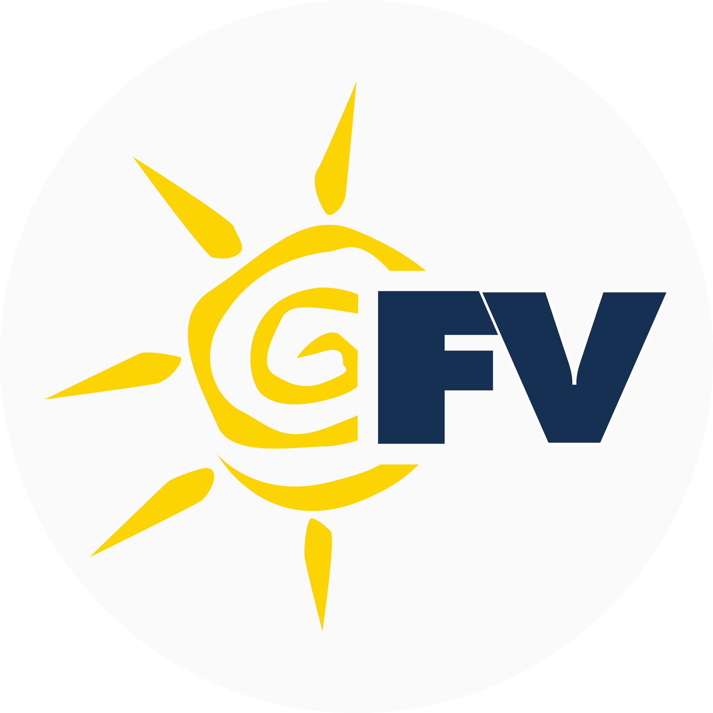 funjet.com icon