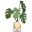gardenplantnursery.shop icon