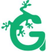 geckocustom.com icon