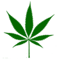 greenhealthdocs.com icon