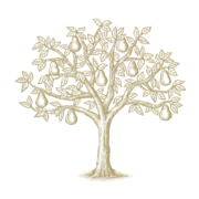 harryanddavid.com icon